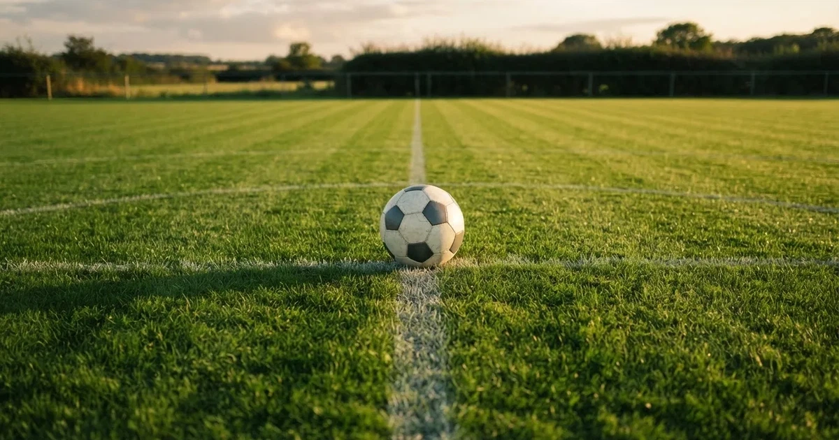 Ein Fussball liegt auf dem Mittelkreis eines Rasenfelds, die weissen Linien kreuzen sich auf dem gepflegten Gras im warmen Abendlicht.