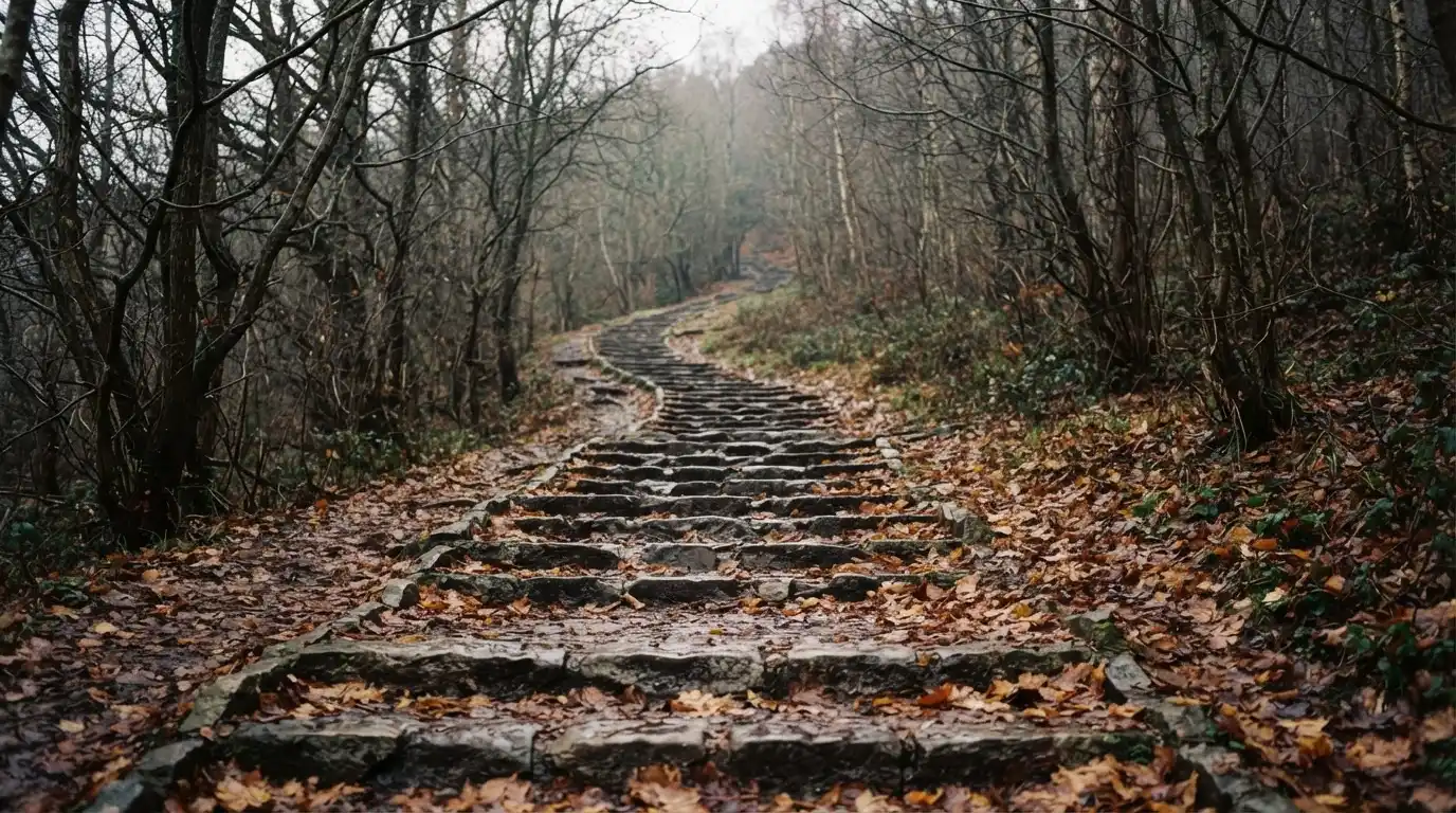 Eine Steintreppe führt einen Hügel hinauf, die Stufen sind mit Herbstlaub bedeckt und seitlich stehen kahle Bäume.