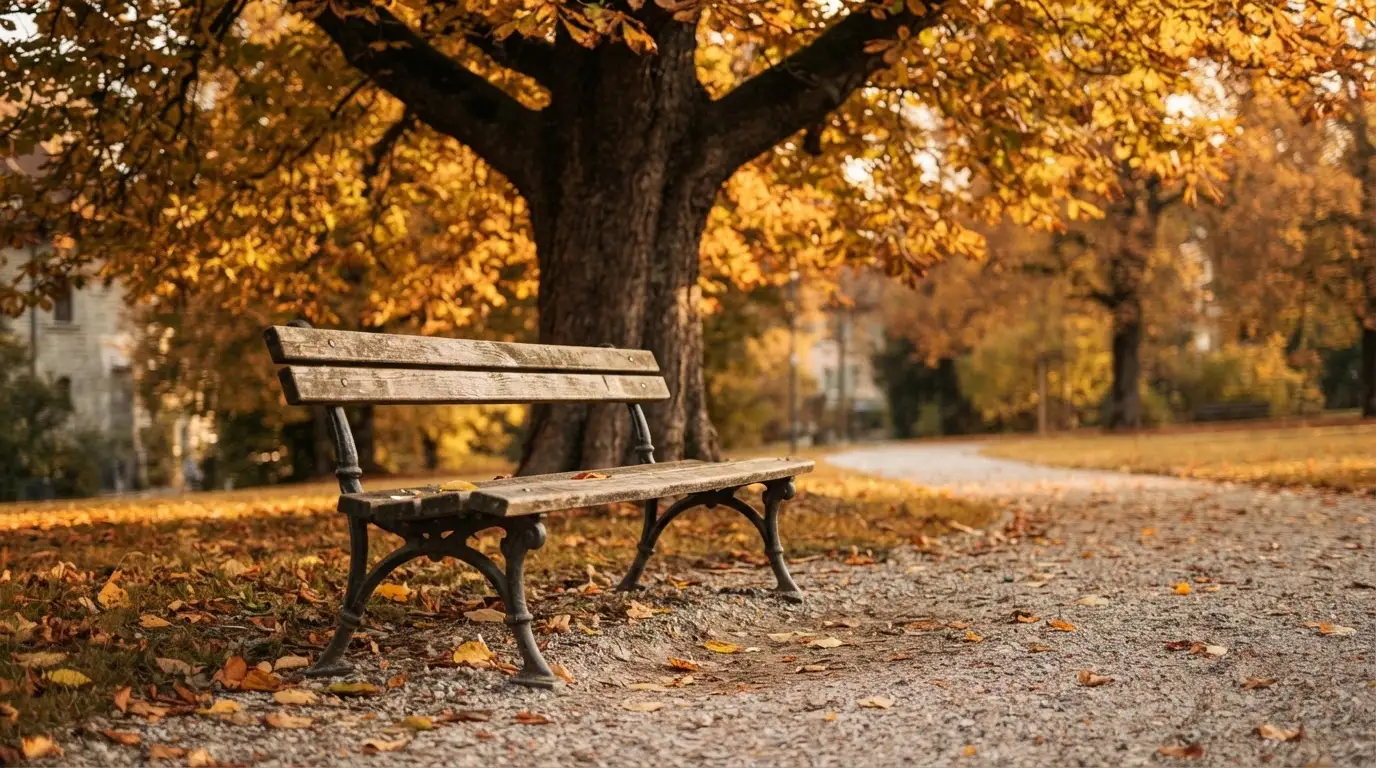 Eine Parkbank unter einer Kastanie im Herbst, auf dem Kiesweg liegen gelbe Blätter.