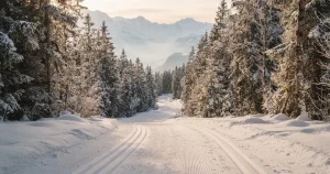 Online Biathlon Wetten Schweiz 2026: Anbieter, Regeln und Quoten