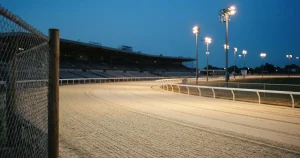 Hunderennen-Wetten in der Schweiz – Recht, Spielerschutz, Buchmacher