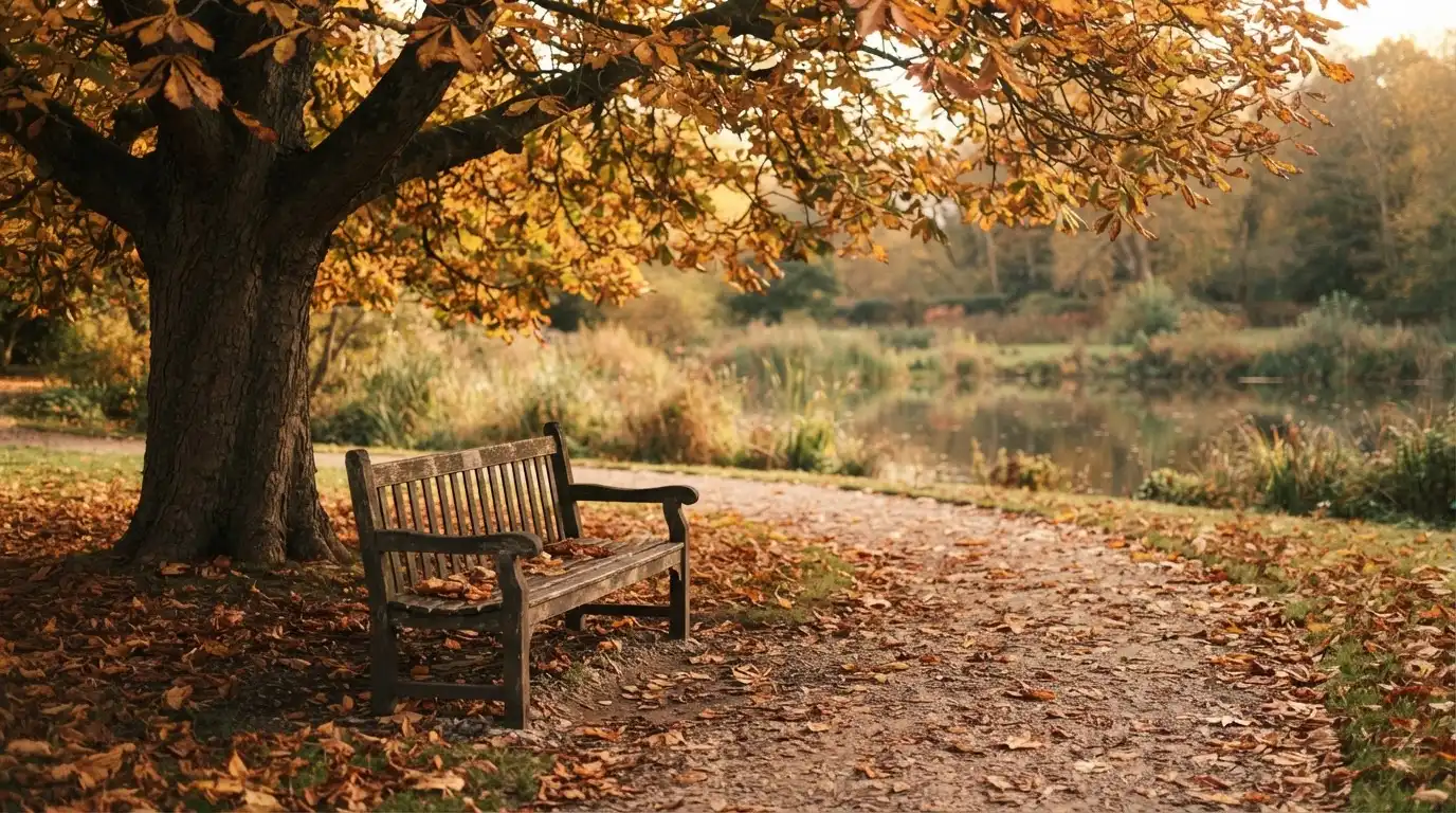 Eine Parkbank unter einer Kastanie, Herbstlaub bedeckt den Kiesweg, im Hintergrund ein stiller Teich.